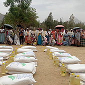 Erster Hilfstransport in Adwa eingetroffen