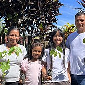 Wiederaufforstungs-Projekt vor dem Aus