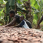 Valentinstag: Achten Sie auf das Gütesiegel 