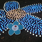 Ein Lichtermeer am Friedhof