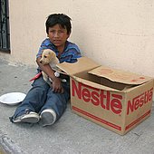 Straßenkinder: Tiere helfen bei Vertrauen