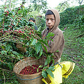 Neue Kampagne „Kinderarbeit stoppen“