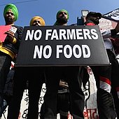 Indische Bauern kämpfen gegen Agrarreform