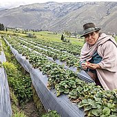 Neue Anleihe als Hilfe zur Selbsthilfe