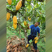 Indigene Völker brauchen mehr als schöne Worte