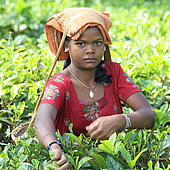 Kinderarbeit stoppen