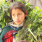 Lieferkettengesetz gegen Kinderarbeit