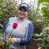 Schenken Sie faire Rosen zum Muttertag!