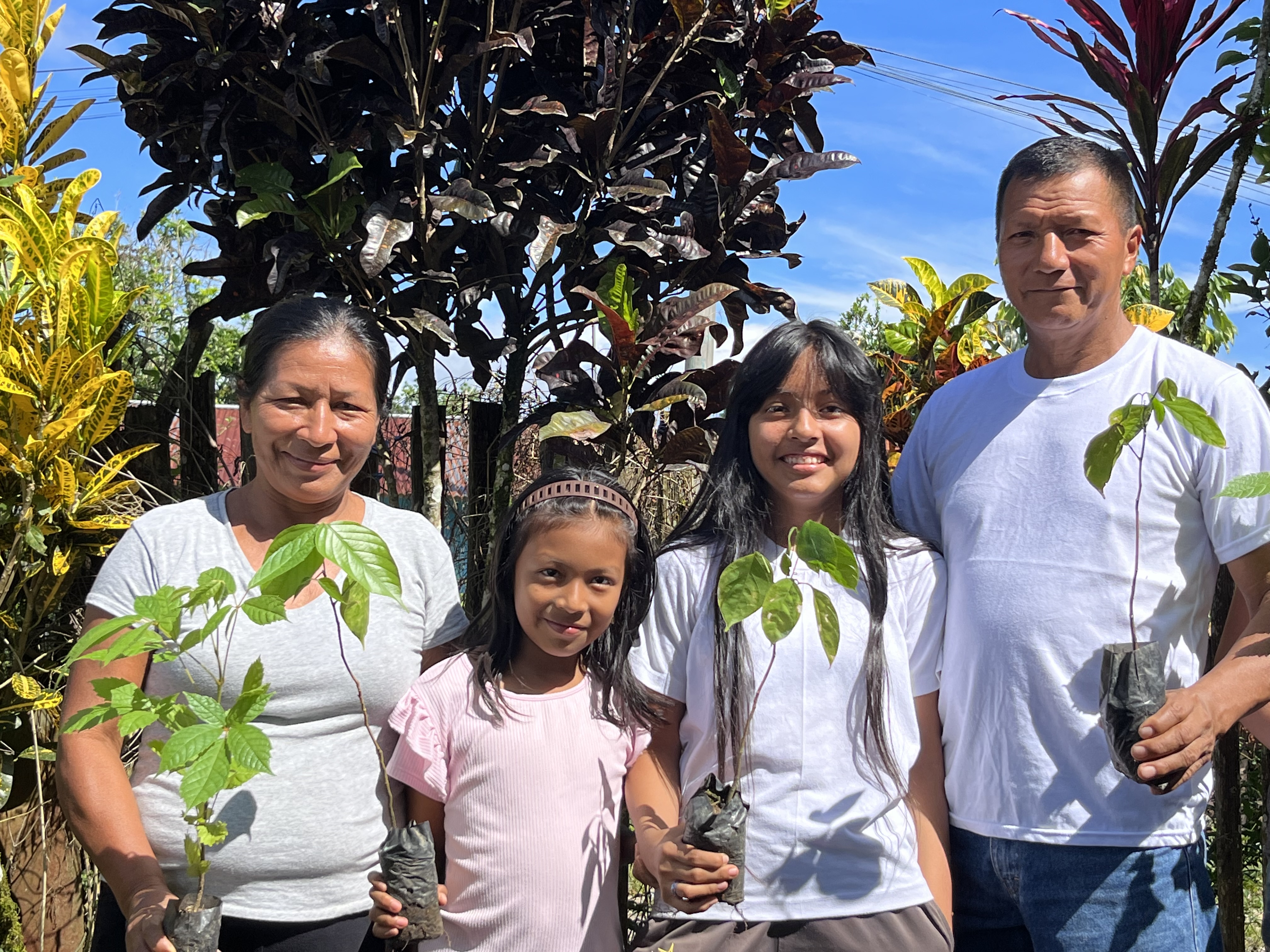 Wiederaufforstungs-Projekt vor dem Aus